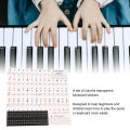 Piano Beginner Sticker Colorful Transparent Removable Large Letter Reusable Piano Keyboard Sticker for 49/54/61/88 Key Keyboards. 