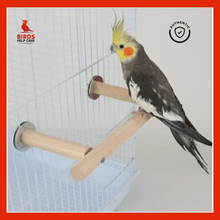 Pet%20Bird%20Perch%20Stand%20%E2%80%93%20Durable%20Cage%20Accessory%20for%20Birds%20%7C%20Ideal%20for%20Play%20&%20Rest%20%7C%20Bangladesh%20-%20Image%203