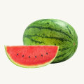 Lazy Melon king Watermelon bonsai red meat garden balcony potted vegetables - 10pcs seeds. 