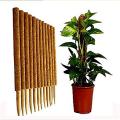 Coco pole 30 inch - Coir(Coco peat) Grow Stick 1 pcs. 