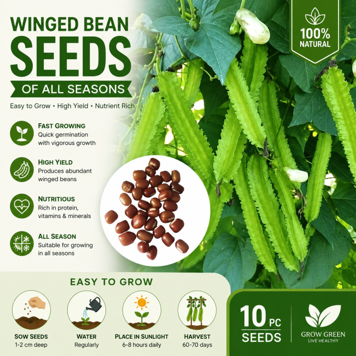 Winged Bean Seeds of all seasons -10 pc seeds