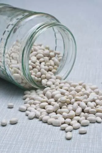 Bean%20Seed%20White/%20Simer%20Bichi%20Sada-%20500%20gm%20-%20Image%202