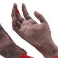 Fake Severed Hands, Halloween Props Hand Lifelike for Cosplay. 