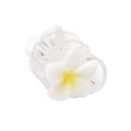 Fashion Cute Frangipani Hair Clip Transparent Jelly Color Simple Ponytail Hairpin Hair Accessories Headwear Barrettes Girls. 