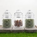 Home Centre Spice Jars - Set of 3, 300 ml Glass. 