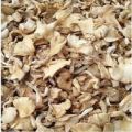 Best 100% Dry Oyster Mushroom 250gm. 