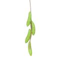 Artificial Fruit Foam Vegetable Corn Pepper Garlic Hanging Photo Prop Home Decor.