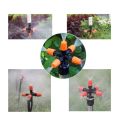Five Way Misting Atomization Fogger Nozzle (1-Pc) with Half (1/2) inch to 6mm size Adapter Connector (1-Pc) for Easy Installation on Crop Field, Nursery and Vegetable Gardens.. 