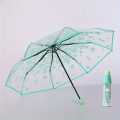 Clear Transparent Umbrella - Stylish, Windproof, Dome Design with Sturdy Frame for Maximum Rain Protection. 