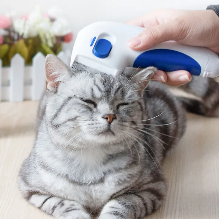 Pet%20electric%20remover,%20comb,%20dog%20flea%20and%20lice%20removal,%20Teddy%20golden%20hair%20external%20deworming,%20cat%20comb%20-%20Image%203