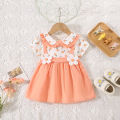 Summer New Baby Girls Dress Lapel Lace Ruffles Sweet Cute Little Flower Floral Floral Print Sweet Princess Dress.