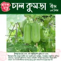 Wax Gourd Chalkumra Seed 10 pcs Seeds - চাল কুমড়া বীজ ১০ টি বীজ. 