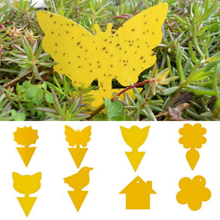 Sticky%20Traps%20Fruit%20Fly%20And%20Gnat%20Trap%20Yellow%20Sticky%20Bug%20Traps%20Insect%20Catcher%20Protect%20The%20Plant%20-%20Image%204