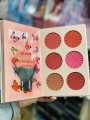 4 in 1 Sheglam Professional Makeup Book Palette Eyeshadow,Eyebrow Powder+Concealer+Blusher+Highlighter. 