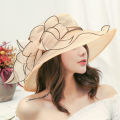 Sun Hat Female Sun Color Hat Sun Protection UV Protection Spring Summer Hat Gauze Cap Beach Hat Organza Black Edge. 