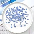 20 PCS DIY Dried Flowers Elegant Beautiful Artificial Forget-Me-Not Simple Creative Pressed Flower Decoration.