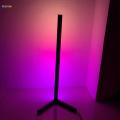 Color Changing RGB Mood Lighting Metal LED Wall Corner Floorlamp. 
