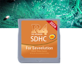 R4 Game Card For Eeveelution 3DSLL/N3DS with 32GB Memory Card. 