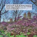 Deep Learning (Adaptive Computation and Machine Learning series). 