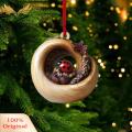 Holiday Hanging Decoration Adorable Forest Animal Christmas Ornaments Owls Raccoons Koalas Fun Holiday Decorations for Fun Holiday Ornament.