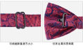 Rhinestone Butterfly  British Men's Wedding Groom Bow Tie. 