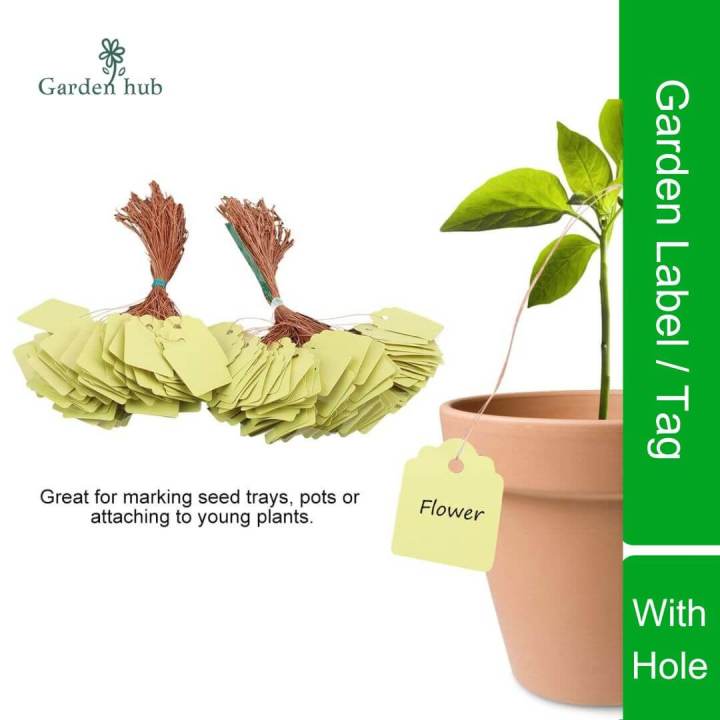 100 Pcs Plant & Flower Labels Tag / PVC Waterproof Seed Label Tag From ...