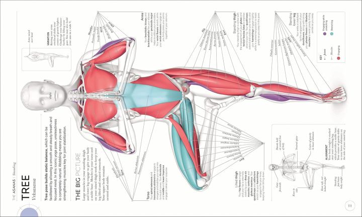 Science%20Of%20Yoga%20%5BPaperback%5D%20-%20Image%203