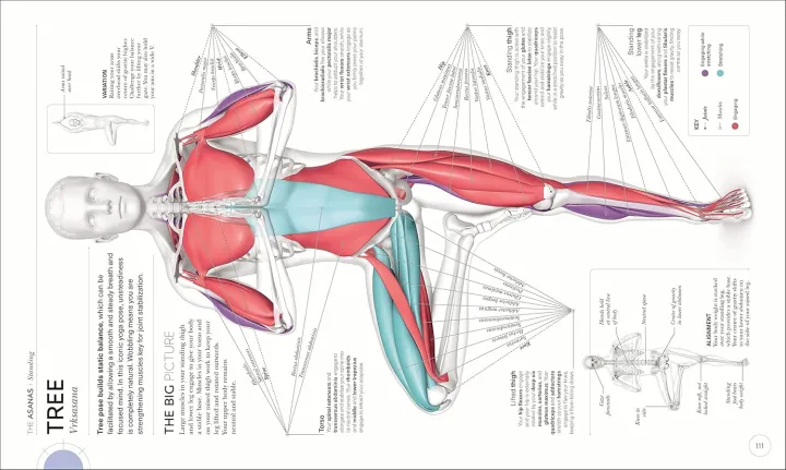 Science%20Of%20Yoga%20%5BPaperback%5D%20-%20Image%203