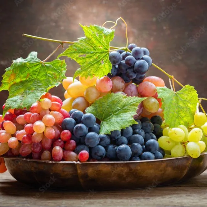 All Season Rare Mix Grape Seeds -20 Pcs Seeds