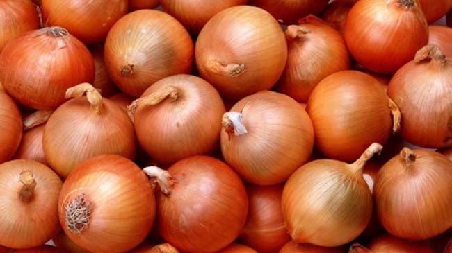Four%20Seasons%20Pakistani%20Onion%20Seed%2060%20Pieces%20-%20Image%202
