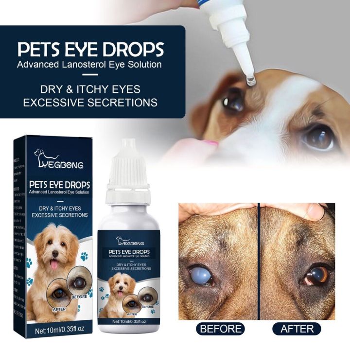 Cataract%20Drops%20For%20Pets,%20Therapeutic%20Eye%20Lubricating%20Drop%20For%20Dog%20Cats,%20Improve%20Vision%20Clarity,%20Health%20Dryness%20-%20Image%202
