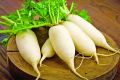 মূলা বীজ - ১০ গ্রাম - সাদা রঙ এর মূলা ও শাকের জন্য - Radish Seeds - Radish Spinach - Mular Bij.