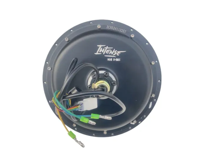 Electric%20Cycle%20Conversion%20Hub%20Motor%2036/48V%20350W,%20500W,%201000W,%201500W%20%E2%80%93%20Gearless%20Hub%20Motor%20by%20Intense%20Hub%20-%20Image%202