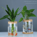 Transparent Hydroponic Flower Pot Imitation Glass Soilless Flower Pot Home Vase Fullhouse. 
