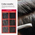 Just For Men Easy Comb-In Color Mens Hair Dye, Easy No Mix Application with Comb Applicator - Real Black, A-55, Pack of 1. 
