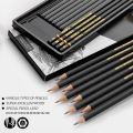 Professional Drawing Sketching Pencil Set, 12 Pieces Art Pencils Graphite Shading Pencils for Beginners Pro Artists. 