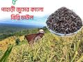 Pahari Kalo Binni Chal -  Black Binni Rice - 500gm. 
