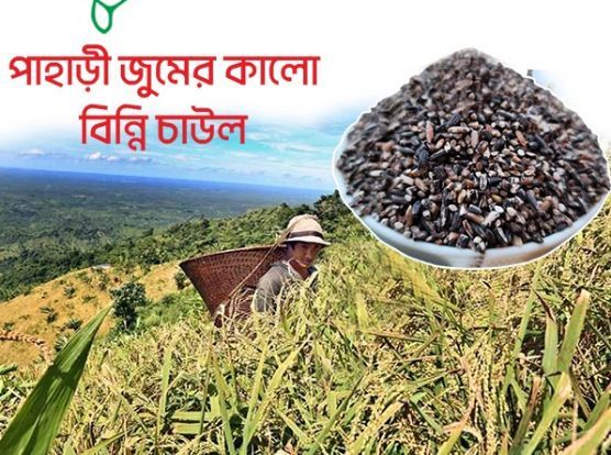 Pahari Kalo Binni Chal -  Black Binni Rice - 500gm