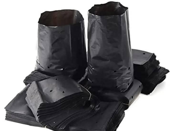 8"/8%20"%20Nursary%20%20Poly%20Bag%20Black%20%2010%20pcs%20-%20Image%206