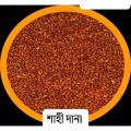 Sahi Dana / Halim Dana/ Garden cress Seed -100gm. 