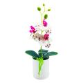 Artificial istic cro Lape Artificial Butterfly Orchid. 
