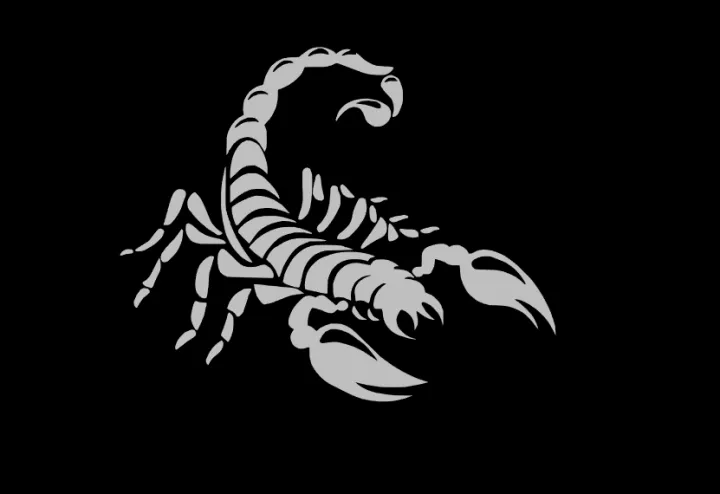 Scorpion%20sticker%20for%20bike%20-%20Image%204