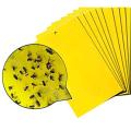 Yellow Sticky Traps - Adhesive Insect killing Trap - Yellow Color Traps Insects killer Trap - Yellow Sticky for Insect (5 pcs Bundle). 