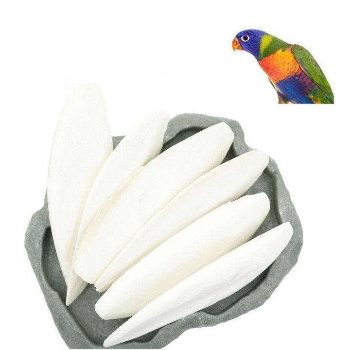Cuttlefish bone for birds(Cuttlefish Bird Food)-50 gm