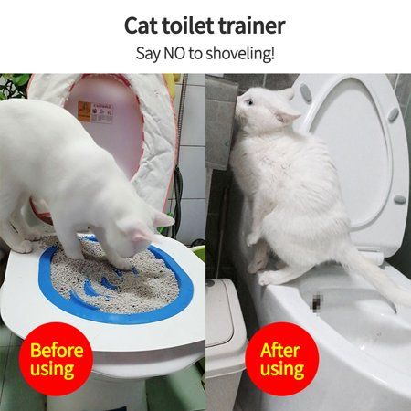 Cat%20puppy%20Potty%20Trainer%20Cat%20puppy%20Toilet%20Training%20Kit%20-%20Image%207