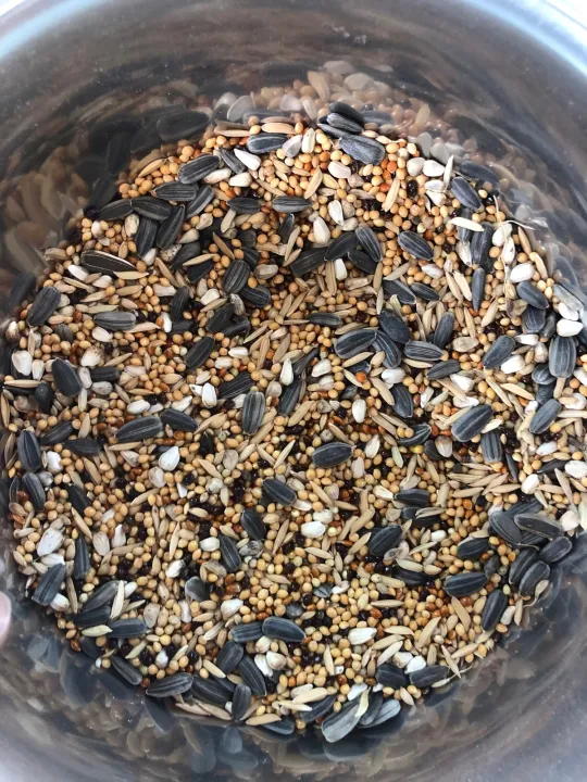 Lovebird,Cocatail%20Seed%20mix%201%20kg%20-%20Image%202