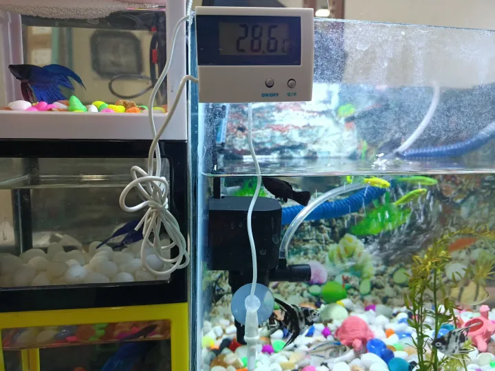 Digital%20Thermometer%20For%20Aquarium%20Fish%20Tank,%20Biofloc%20&%20Oter%20Fish%20Farming%20-%20Image%204