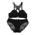 Women Push Up Butterfly Design Lingerie Lace Bra and Panty Set.