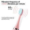Children Sonic Electric Toothbrush Cartoon Pattern USB Smart Kids Tooth Brush 6 Replacement Brush Heads Oral Care Cleaning Tool. 