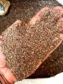 Marsh barbel seeds-Talmakhna dana 250gm. 